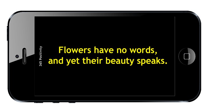 365-Phone-Carousel-WOMEN-4 365-Phone-Carousel-WOMEN-4